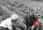 Immagine di Ford parsimonia Gardens Inkster Michigan USA, 1932, secondo 47 filmato di repertorio 65675066175