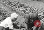 Immagine di Ford parsimonia Gardens Inkster Michigan USA, 1932, secondo 48 filmato di repertorio 65675066175