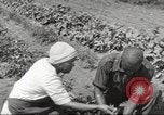 Immagine di Ford parsimonia Gardens Inkster Michigan USA, 1932, secondo 49 filmato di repertorio 65675066175