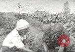 Immagine di Ford parsimonia Gardens Inkster Michigan USA, 1932, secondo 52 filmato di repertorio 65675066175