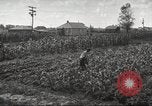 Immagine di Ford parsimonia Gardens Inkster Michigan USA, 1932, secondo 53 filmato di repertorio 65675066175
