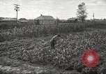 Immagine di Ford parsimonia Gardens Inkster Michigan USA, 1932, secondo 54 filmato di repertorio 65675066175