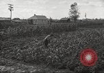 Immagine di Ford parsimonia Gardens Inkster Michigan USA, 1932, secondo 55 filmato di repertorio 65675066175