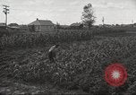 Immagine di Ford parsimonia Gardens Inkster Michigan USA, 1932, secondo 56 filmato di repertorio 65675066175