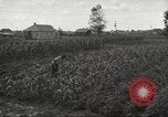 Immagine di Ford parsimonia Gardens Inkster Michigan USA, 1932, secondo 57 filmato di repertorio 65675066175
