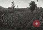 Immagine di Ford parsimonia Gardens Inkster Michigan USA, 1932, secondo 61 filmato di repertorio 65675066175