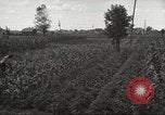 Immagine di Ford parsimonia Gardens Inkster Michigan USA, 1932, secondo 62 filmato di repertorio 65675066175