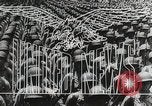 Image libération de Rome Italie, 1944, de la seconde 14 séquences d'archives historiques vidéo 65675066216