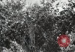 Image Seconde Guerre Mondiale au début des manœuvres de l'armée soviétique 'Union soviétique, 1940, de la seconde 28 séquences d'archives historiques vidéo 65675066220