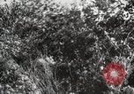 Image Seconde Guerre Mondiale au début des manœuvres de l'armée soviétique 'Union soviétique, 1940, de la seconde 30 séquences d'archives historiques vidéo 65675066220