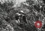 Image Seconde Guerre Mondiale au début des manœuvres de l'armée soviétique 'Union soviétique, 1940, de la seconde 31 séquences d'archives historiques vidéo 65675066220