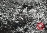 Image Seconde Guerre Mondiale au début des manœuvres de l'armée soviétique 'Union soviétique, 1940, de la seconde 44 séquences d'archives historiques vidéo 65675066220
