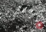 Image Seconde Guerre Mondiale au début des manœuvres de l'armée soviétique 'Union soviétique, 1940, de la seconde 45 séquences d'archives historiques vidéo 65675066220