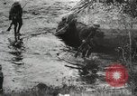 Image des manoeuvres de l'Armée rouge 'Union soviétique, 1940, de la seconde 43 séquences d'archives historiques vidéo 65675066221