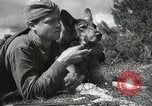 Image Les manœuvres de communication de l'Armée rouge 'Union soviétique, 1940, de la seconde 4 séquences d'archives historiques vidéo 65675066222