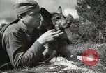 Image Les manœuvres de communication de l'Armée rouge 'Union soviétique, 1940, de la seconde 6 séquences d'archives historiques vidéo 65675066222