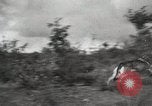 Image Les manœuvres de communication de l'Armée rouge 'Union soviétique, 1940, de la seconde 10 séquences d'archives historiques vidéo 65675066222