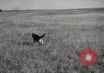 Image Les manœuvres de communication de l'Armée rouge 'Union soviétique, 1940, de la seconde 13 séquences d'archives historiques vidéo 65675066222