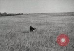 Image Les manœuvres de communication de l'Armée rouge 'Union soviétique, 1940, de la seconde 14 séquences d'archives historiques vidéo 65675066222