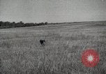 Image Les manœuvres de communication de l'Armée rouge 'Union soviétique, 1940, de la seconde 15 séquences d'archives historiques vidéo 65675066222