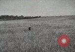 Image Les manœuvres de communication de l'Armée rouge 'Union soviétique, 1940, de la seconde 16 séquences d'archives historiques vidéo 65675066222
