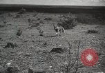 Image Les manœuvres de communication de l'Armée rouge 'Union soviétique, 1940, de la seconde 23 séquences d'archives historiques vidéo 65675066222