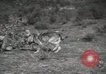 Image Les manœuvres de communication de l'Armée rouge 'Union soviétique, 1940, de la seconde 28 séquences d'archives historiques vidéo 65675066222