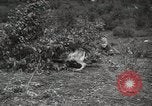 Image Les manœuvres de communication de l'Armée rouge 'Union soviétique, 1940, de la seconde 29 séquences d'archives historiques vidéo 65675066222