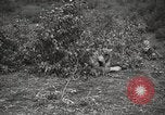 Image Les manœuvres de communication de l'Armée rouge 'Union soviétique, 1940, de la seconde 30 séquences d'archives historiques vidéo 65675066222