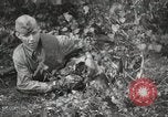Image Les manœuvres de communication de l'Armée rouge 'Union soviétique, 1940, de la seconde 31 séquences d'archives historiques vidéo 65675066222
