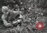 Image Les manœuvres de communication de l'Armée rouge 'Union soviétique, 1940, de la seconde 32 séquences d'archives historiques vidéo 65675066222