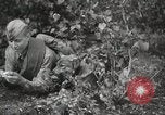 Image Les manœuvres de communication de l'Armée rouge 'Union soviétique, 1940, de la seconde 33 séquences d'archives historiques vidéo 65675066222
