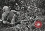 Image Les manœuvres de communication de l'Armée rouge 'Union soviétique, 1940, de la seconde 35 séquences d'archives historiques vidéo 65675066222