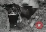 Image Les manœuvres de communication de l'Armée rouge 'Union soviétique, 1940, de la seconde 57 séquences d'archives historiques vidéo 65675066222