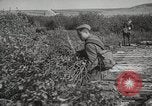 Image 'armée soviétique manoeuvres Seconde Guerre Mondiale 'Union soviétique, 1940, de la seconde 10 séquences d'archives historiques vidéo 65675066224