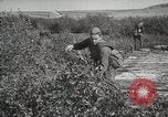 Image 'armée soviétique manoeuvres Seconde Guerre Mondiale 'Union soviétique, 1940, de la seconde 11 séquences d'archives historiques vidéo 65675066224