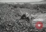 Image 'armée soviétique manoeuvres Seconde Guerre Mondiale 'Union soviétique, 1940, de la seconde 12 séquences d'archives historiques vidéo 65675066224
