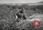 Image 'armée soviétique manoeuvres Seconde Guerre Mondiale 'Union soviétique, 1940, de la seconde 14 séquences d'archives historiques vidéo 65675066224