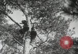 Image Formation Seconde Guerre Mondiale les manœuvres de l'armée soviétique 'Union soviétique, 1940, de la seconde 13 séquences d'archives historiques vidéo 65675066225