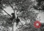 Image Formation Seconde Guerre Mondiale les manœuvres de l'armée soviétique 'Union soviétique, 1940, de la seconde 14 séquences d'archives historiques vidéo 65675066225