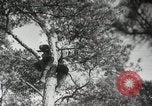 Image Formation Seconde Guerre Mondiale les manœuvres de l'armée soviétique 'Union soviétique, 1940, de la seconde 15 séquences d'archives historiques vidéo 65675066225