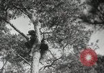 Image Formation Seconde Guerre Mondiale les manœuvres de l'armée soviétique 'Union soviétique, 1940, de la seconde 16 séquences d'archives historiques vidéo 65675066225