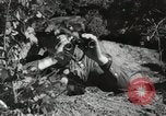 Image des manoeuvres de l'Armée rouge 'Union soviétique, 1940, de la seconde 16 séquences d'archives historiques vidéo 65675066226