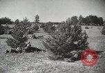 Image des manoeuvres de l'Armée rouge 'Union soviétique, 1940, de la seconde 55 séquences d'archives historiques vidéo 65675066226