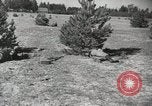 Image des manoeuvres de l'Armée rouge 'Union soviétique, 1940, de la seconde 58 séquences d'archives historiques vidéo 65675066226