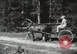 Image des manoeuvres de l'Armée rouge 'Union soviétique, 1940, de la seconde 21 séquences d'archives historiques vidéo 65675066227