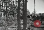 Image des manoeuvres de l'Armée rouge 'Union soviétique, 1940, de la seconde 26 séquences d'archives historiques vidéo 65675066227