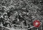 Image des manoeuvres de l'Armée rouge 'Union soviétique, 1940, de la seconde 40 séquences d'archives historiques vidéo 65675066227