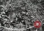 Image des manoeuvres de l'Armée rouge 'Union soviétique, 1940, de la seconde 41 séquences d'archives historiques vidéo 65675066227