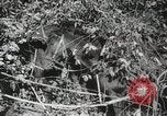 Image des manoeuvres de l'Armée rouge 'Union soviétique, 1940, de la seconde 42 séquences d'archives historiques vidéo 65675066227